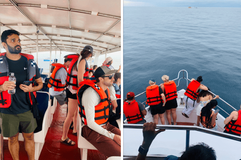 Mirissa: Whale Watching, Turtle Snorkeling, & Kayaking Tour