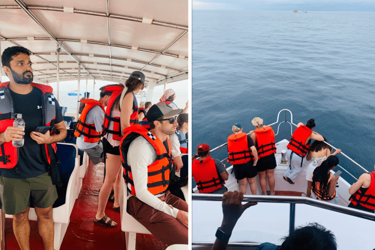 Mirissa: Whale Watching, Turtle Snorkeling, & Kayaking Tour