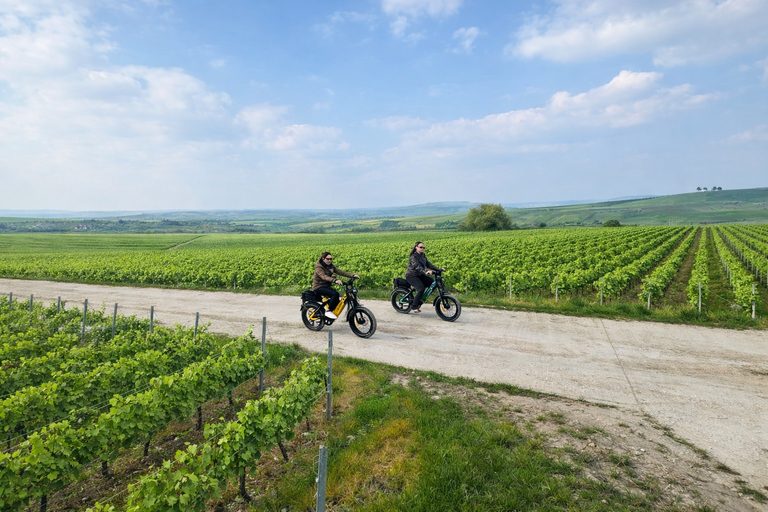 Champagne Vineyards: Tour through the heart of the vineyards on a fat tire e-bike Champagne Vineyards: Tour through the Heart of the Vines on a Fat E-Bike