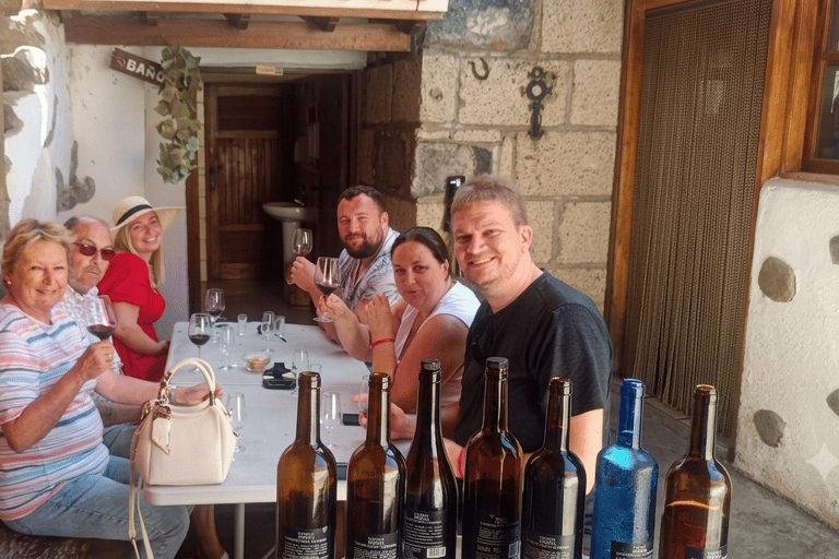 Desde Las Américas!VIP Wine tasting & Guachinche lunch 1200m VIP Wine Tour! Enjoy 7 wines in bodega & Guachinche lunch