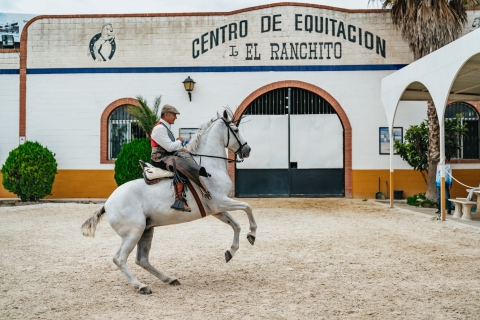 Andalusian Horse and Flamenco Show