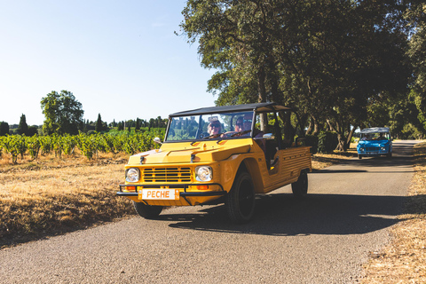 Gourmet road trip and visit to the Domaine des 3 Cellier in Châteauneuf-du-Pape