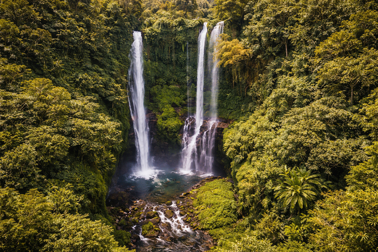 Bali: Sekumpul Waterfall With Waterslide & Rice Terrace Trek Group Tour with Hotel Transfer in Central Bali Area