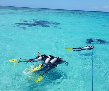 Excursión a Wasini: Excursión con delfines y snorkel en Kisite Mpunguti