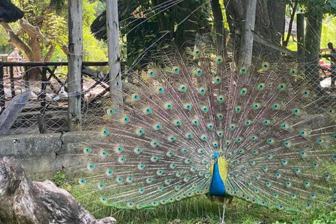 Zanzibar: Prison Island Tour with Giant Tortoises &Boat Ride Stone Town Pick-up, Prison Island Tax $22 Not Included