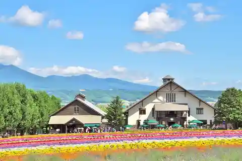 Sapporo: Blue Pond, Flower Fields, Fairy Terrace Day Tour