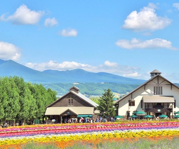 Sapporo: Dagtocht Blauwe Vijver, Bloemenvelden, Feeënterras