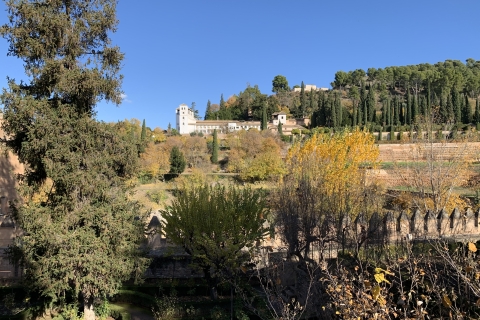 Grenade : Visite guidée de l'Alhambra et des palais Nasrides et billetsVisite de groupe en anglais