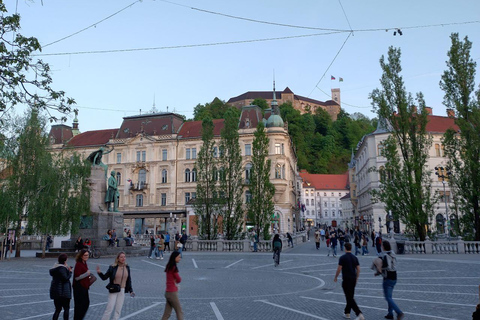 Ljubljana: Private Guided City Tour