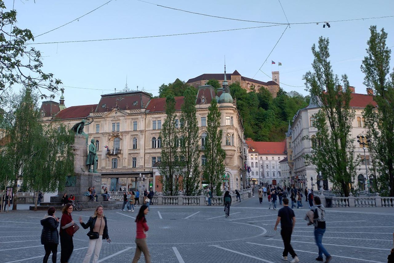 Ljubljana: Private Guided City Tour