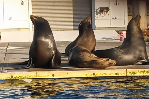 مارينا ديل ري رحلة بحرية رومانسية بالقارب مع السوشي والنبيذالعلاج بالمحيط، النبيذ والجبن - برانش أ