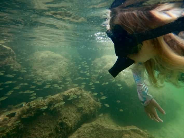 Waikiki Honolulu Beginner Snorkeling Tour with Videos GetYourGuide