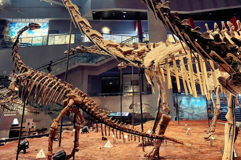 Chongqing: tour del monte Jinyun, del museo e della vecchia stradaGuida per altre lingue