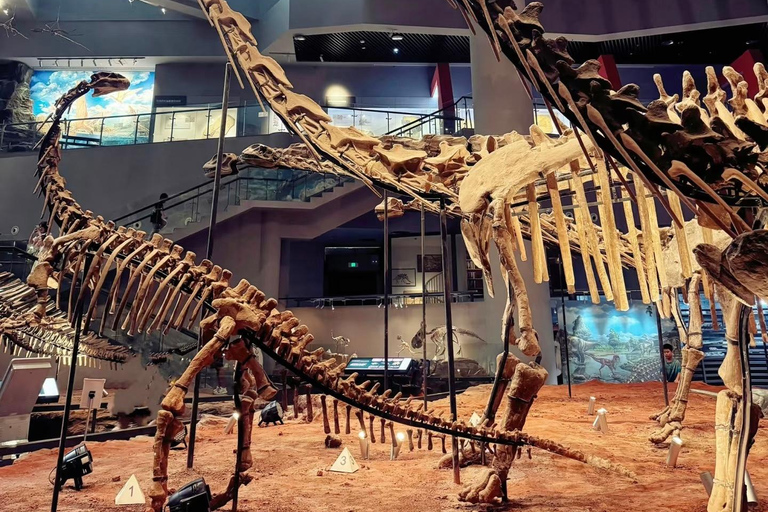 Chongqing: tour del monte Jinyun, del museo e della vecchia stradaGuida per altre lingue