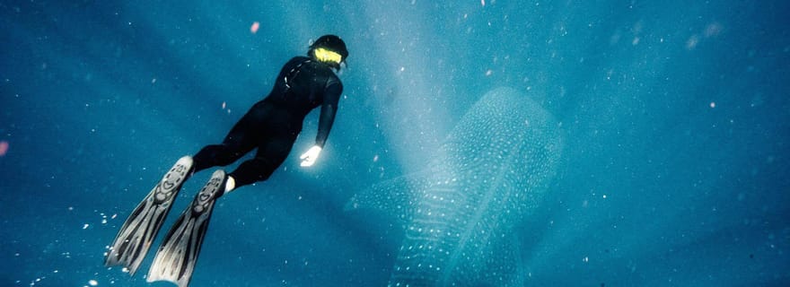 Excursion de conservation marine au Belize