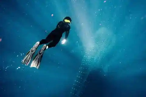 Viaggio SCUBA per la conservazione marina in Belize