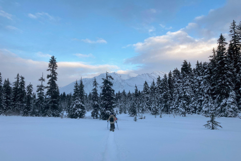 Guided Snowshoeing Adventure from Seward, Alaska 6-Hour Tour