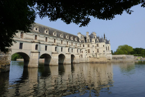 From Paris: Private tour to the Loire Valley Castles