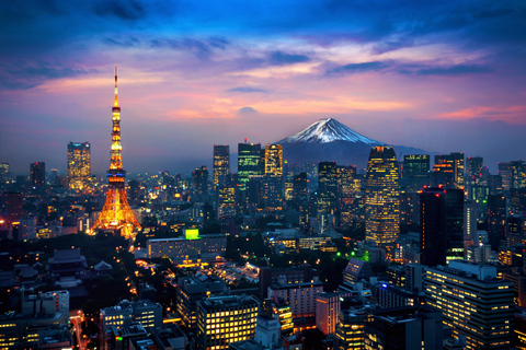 Tour privado de la ciudad de Tokio con conductor de habla inglesa