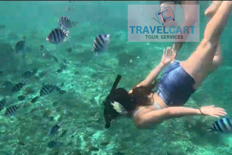 Excursão de um dia a Port Barton