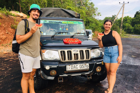 Sigiriya: Minneriya Safari, Yapahuwa Rock & Colombo Drop-off Sigiriya: Minneriya Safari, Yapahuwa Rock & Negombo Drop-off