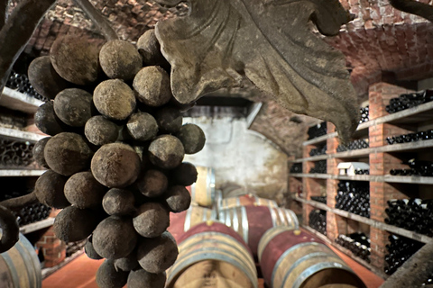 Stuttgart: From the Cellar to the Vine – Experience Wine Up Close Stuttgart: From the cellar to the vine – experience wine up close