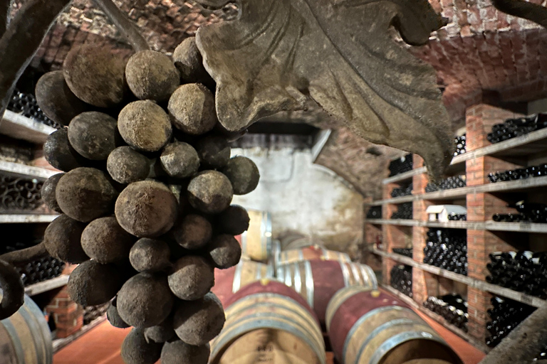 Stuttgart: From the Cellar to the Vine – Experience Wine Up Close Stuttgart: From the cellar to the vine – experience wine up close