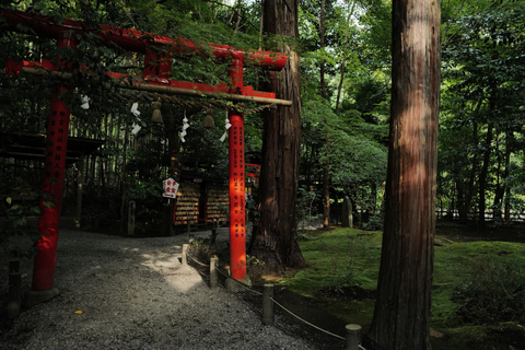 Visita a Kioto temprano con guía de habla inglesa