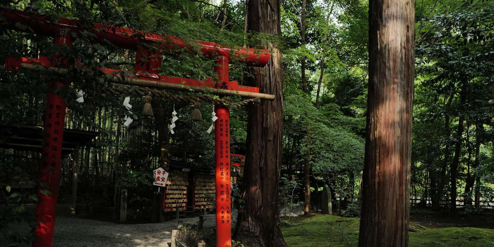 Kyoto experience — temples, geisha, bamboo grove — image 24