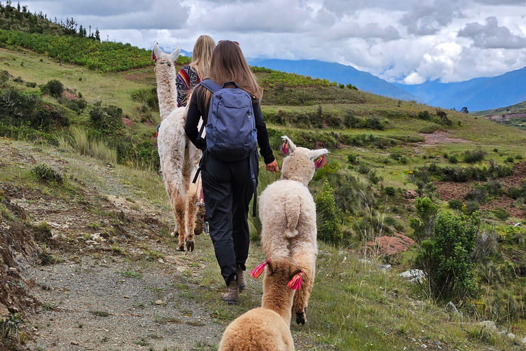 Hike with Alpacas and Llamas in Chinchero Chinchero Alpaca and Llama Hike