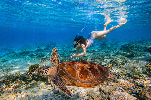 Gili Meno: Private Snorkeling Tour with GoPro Footage