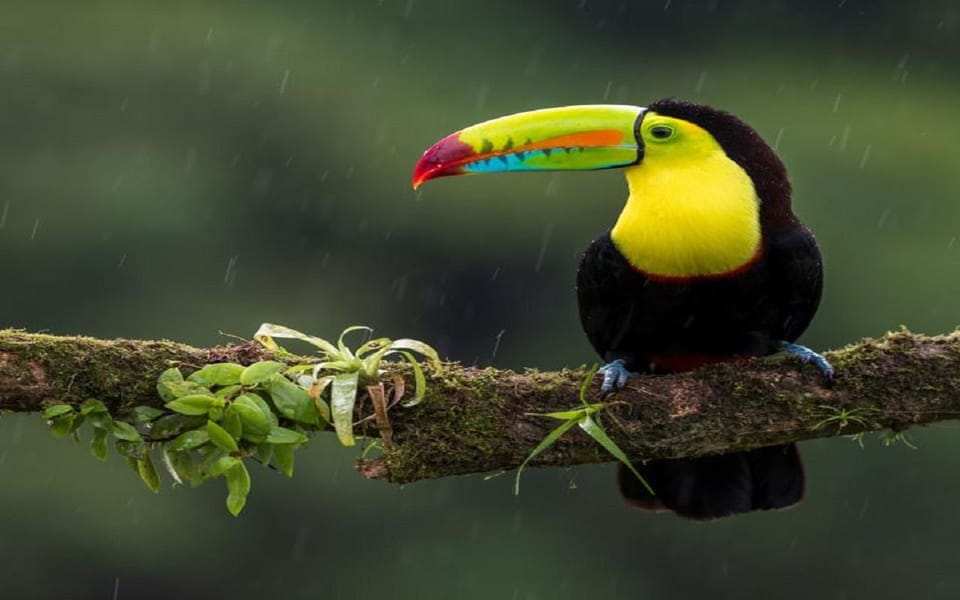 Von Kathmandu aus Geführte 3 Tages Tour durch den Bardia Nationalpark