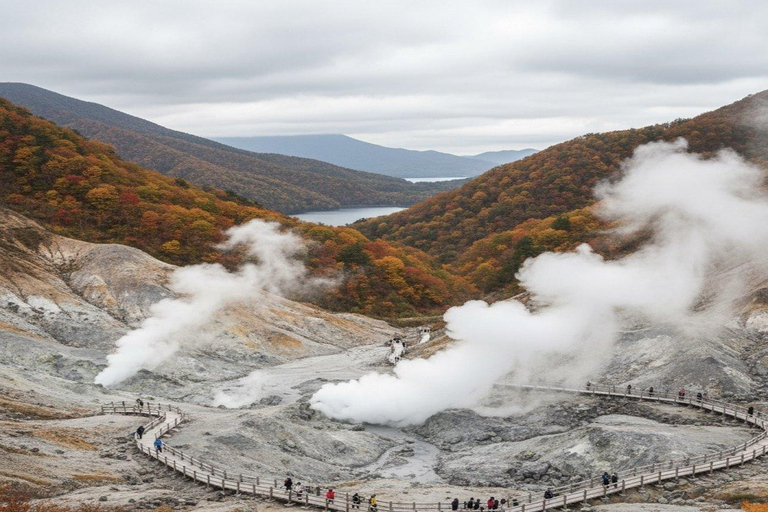 Tokio: całodniowa wycieczka z przewodnikiem po Hakone z odbioremTokio: całodniowa wycieczka z przewodnikiem do Hakone z odbiorem
