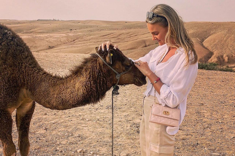 Marrakech: Excursão ao deserto de Agafay com quadriciclo, passeio de camelo e jantar