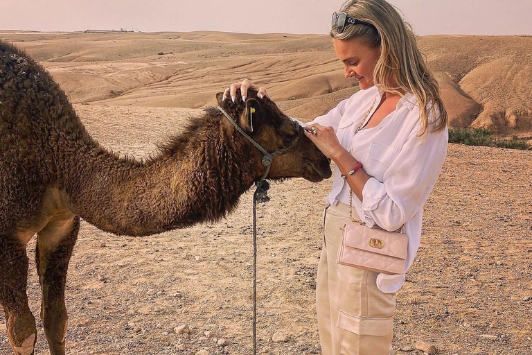 Marrakech: Puesta de sol en el desierto de Agafay, paseo en camello y cena espectáculoMarrakech: Puesta de sol en el desierto de Agafay, paseo en camello y cena con espectáculo