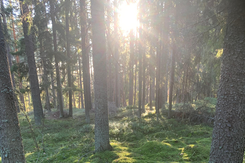 Helsinki: Guided Nature Experience with Campfire and Meal Private Experience from Helsinki