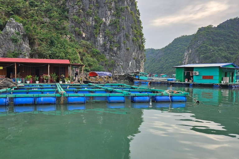 Cat Ba : tour en bateau de Lan Ha en kayak pour observer le plancton bioluminescent