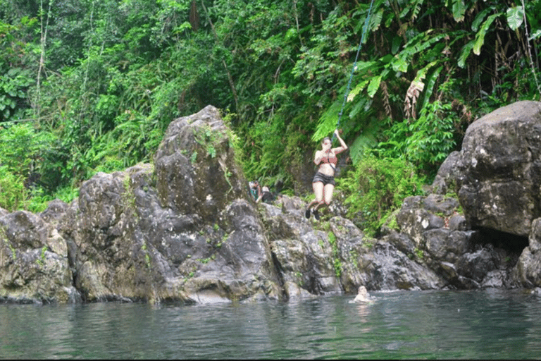 Excursion d'une journée dans la forêt tropicale d'El Yunque avec transport