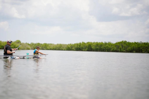 New Smyrna Beach: Guided Clear Kayak Tour with Wildlife