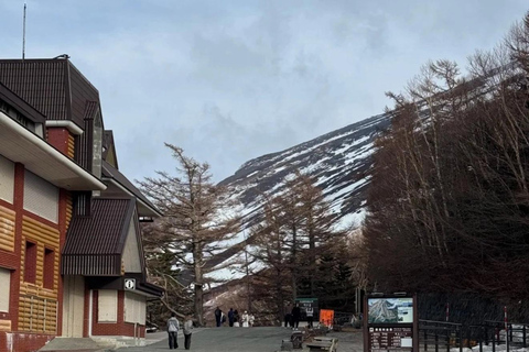 Tokyo:Mt. Fuji 5th Station & Onsen Day Trip | Summer Special 08:30 | Meet at Shinjuku West Exit, SMBC