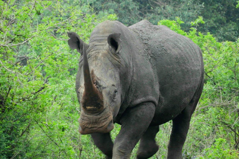 Nairobi National Park, Elefantenwaisenhaus und Giraffenzentrum