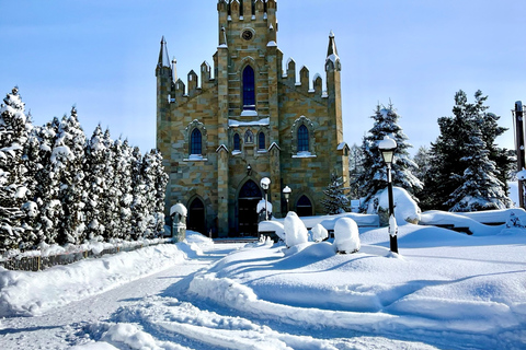 Von Krakau aus: Slowakische Baumkronenwanderung und Zakopane TourTour mit Abholung am Treffpunkt