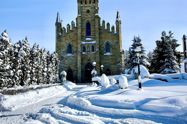 Von Krakau aus: Slowakische Baumkronenwanderung und Zakopane TourTour mit Abholung am Treffpunkt