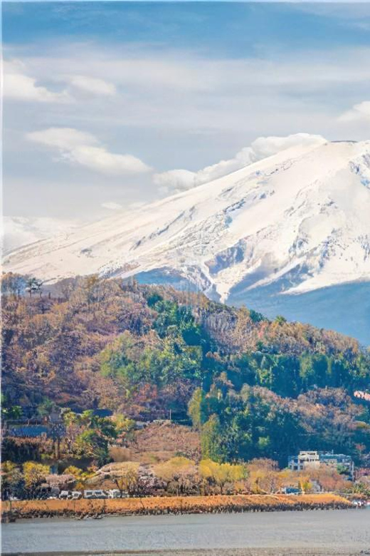 Mt Fuji 3 Lakes DayTrip from Tokyo: Shoji,Kawaguchi,Yamanaka | GetYourGuide