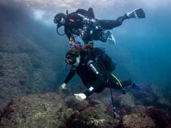L'Estartit: Dive and Snorkeling in Montgrí Natural Park