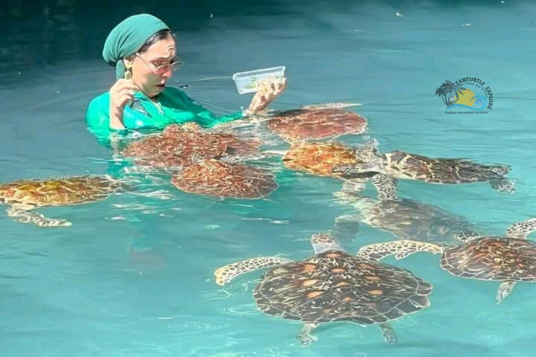 Zanzibar: Jozani Forest & Salaam Cave Sea Turtles Swim Tour Option Without Hotel Transfers
