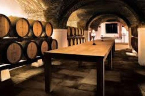 Évora: Prova de vinhos e visita cultural