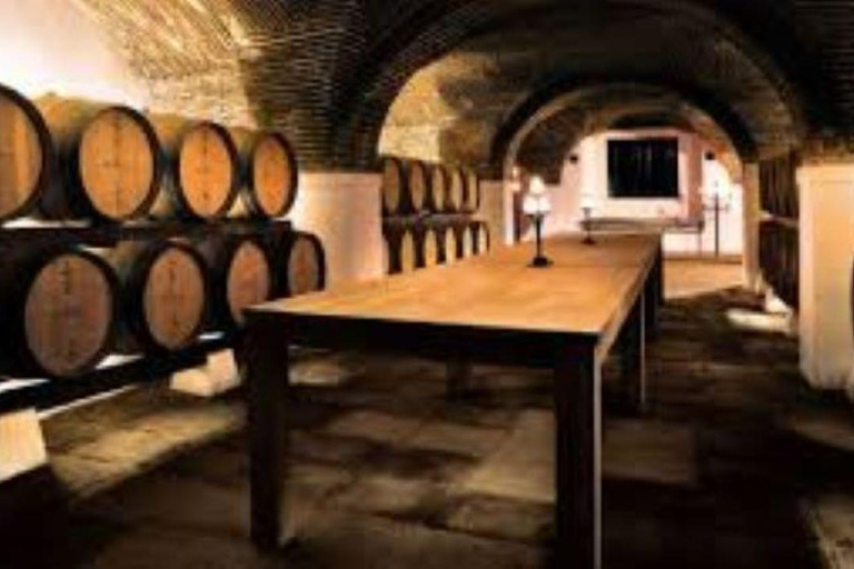 Évora: Prova de vinhos e visita cultural