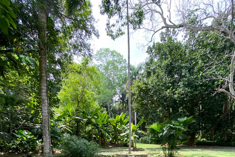 Cartagena: Guided Experience in the Botanical Garden