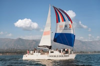 Santa Barbara, Whale Guardare Catamarano Crociera con Bar - Hizvo